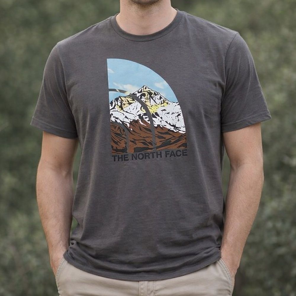 The North Face Gray Mountain Scene Tee size XXL